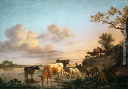 Animali dal fiume Animali dal fiume