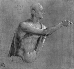 Parte superiore del corpo di Cristo Parte superiore del corpo di Cristo