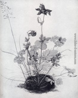 Il pezzo di tappeto erboso con il Columbine Il pezzo di tappeto erboso con il Columbine