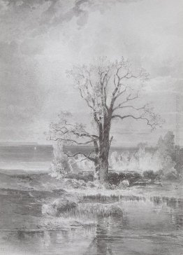 Paesaggio d'autunno Paesaggio d'autunno