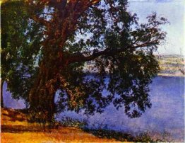 Un albero sopra acqua in prossimità di Castel Gandolfo Un albero sopra acqua in prossimità di Castel Gandolfo