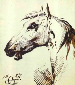 Testa di cavallo Testa di cavallo