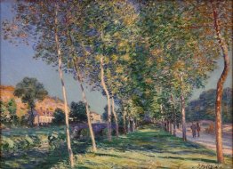 La corsia di Pioppi a Loing a Moret La corsia di Pioppi a Loing a Moret