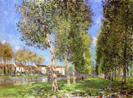 La corsia di Pioppi a Loing a Moret La corsia di Pioppi a Loing a Moret