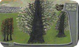 Fioritura Alberi Fioritura Alberi
