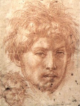 Testa di giovane Testa di giovane
