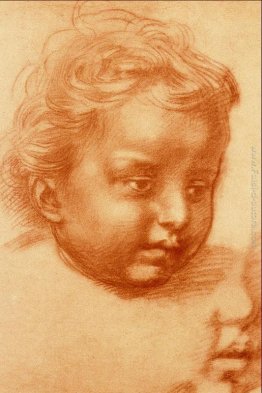 Testa Del Bambino Testa Del Bambino