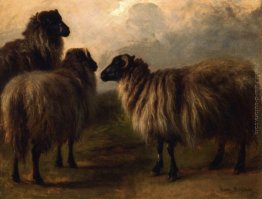 Tre Wooly Sheep Tre Wooly Sheep