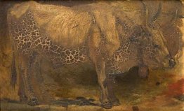 Roman Ox (Standing) Roman Ox (Standing)