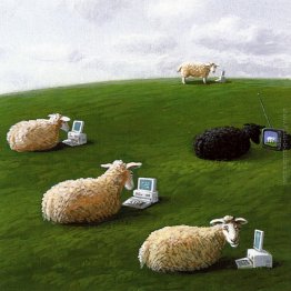 Sheepwith computer portatili Sheepwith computer portatili