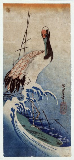 Crane in Waves Crane in Waves