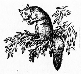 Titolo sconosciuto Titolo sconosciuto