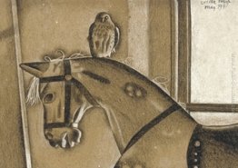 Il Sparviero Il Sparviero