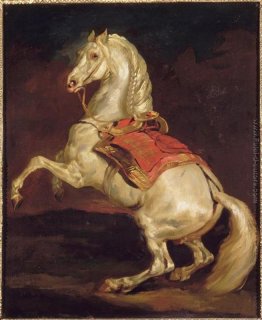 Di Napoleone Stallone, Tamerlano Di Napoleone Stallone, Tamerlano