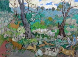 Animali Animali