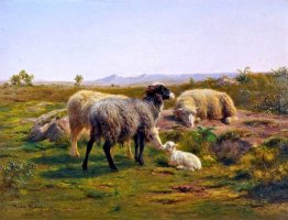 Pecore e un Agnello Pecore e un Agnello
