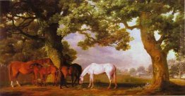 Fattrici e puledri in un paesaggio boscoso Fattrici e puledri in un paesaggio boscoso
