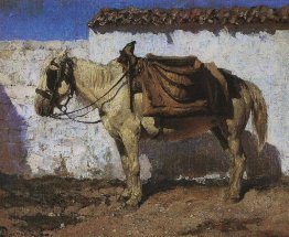 Cavallo bianco. Normandia. Cavallo bianco. Normandia.