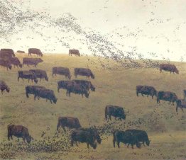 Grackles e Angus Grackles e Angus