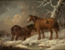 Due Cavalli nella neve Due Cavalli nella neve