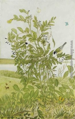 Sojabohnen Sojabohnen