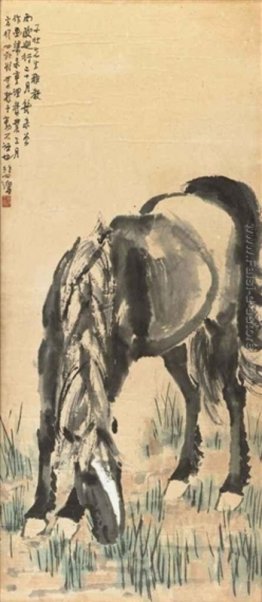 Cavallo Cavallo