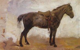 Cavallo Mishka Cavallo Mishka