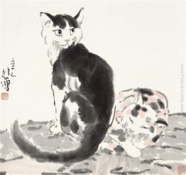 Due gatti Due gatti