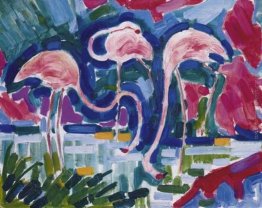 Les Flamants Les Flamants