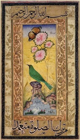 Studio di un Chloropsis Gold-ammantata Studio di un Chloropsis Gold-ammantata