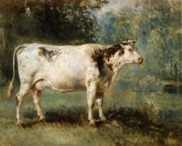 Una mucca in un paesaggio Una mucca in un paesaggio