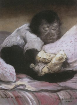 Schmerzvergessen Schmerzvergessen