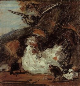 Una gallina ed i suoi pulcini (dopo Melchior d'Hondecoeter) Una gallina ed i suoi pulcini (dopo Melchior d'Hondecoeter)