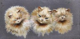 TRE GATTI TRE GATTI