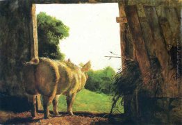 Baby Jane in estate Baby Jane in estate