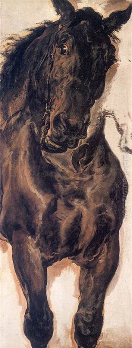 Battaglia di Grunwald (particolare) Battaglia di Grunwald (particolare)