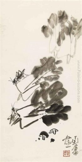 Cavolo cinese e Grilli Cavolo cinese e Grilli