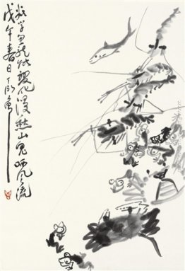 Animali acquatici Animali acquatici