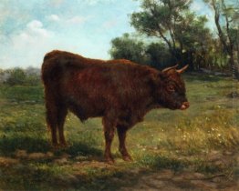 Longhorn Bull in un paesaggio Longhorn Bull in un paesaggio