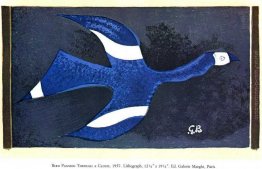 A Bird Passando attraverso un Cloud A Bird Passando attraverso un Cloud