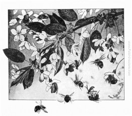 Paa Kirsebaergrenen Paa Kirsebaergrenen