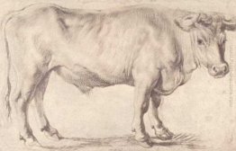 Toro Toro
