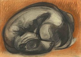 Sleeping Dog Sleeping Dog