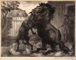 Stallone e Jack Fighting Stallone e Jack Fighting