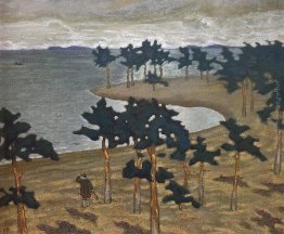 Vita antica Vita antica