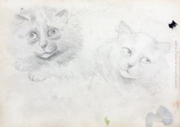 SCHIZZI DI GATTI BIRMANI SCHIZZI DI GATTI BIRMANI