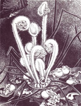 Spring Song Spring Song