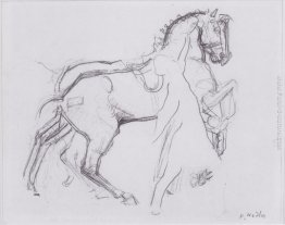 Cavalryman striding un cavallo Cavalryman striding un cavallo