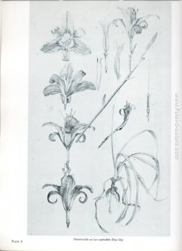 non rilevato non rilevato