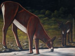 Capriolo con un cerbiatto vicino al ruscello Capriolo con un cerbiatto vicino al ruscello